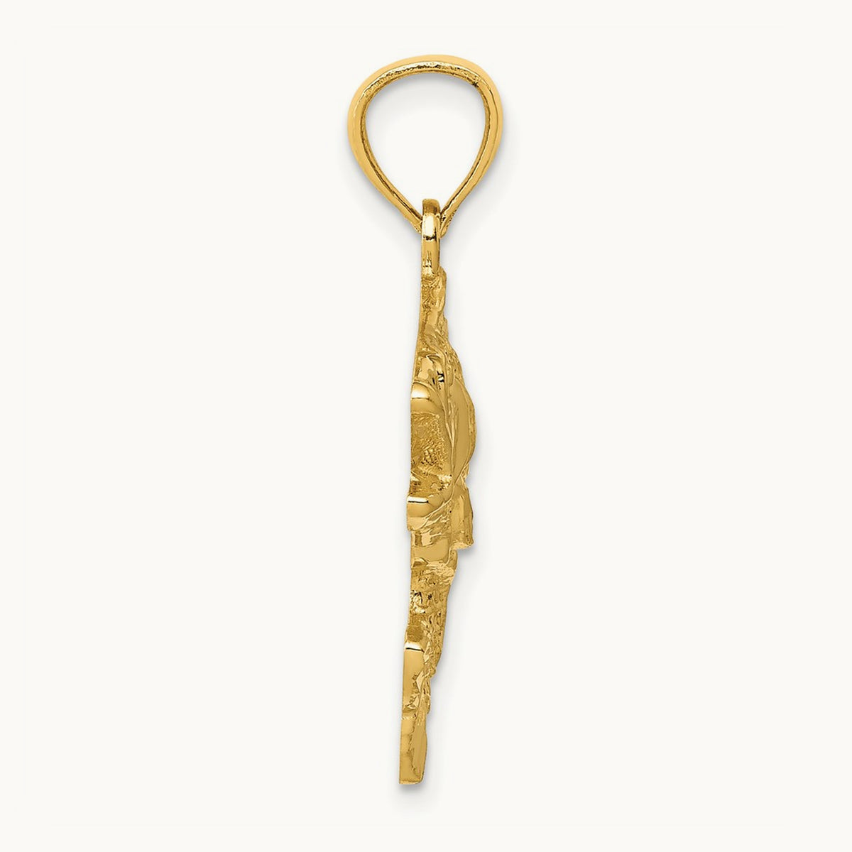 Polished Textured Bass Pendant — 14K Yellow Gold