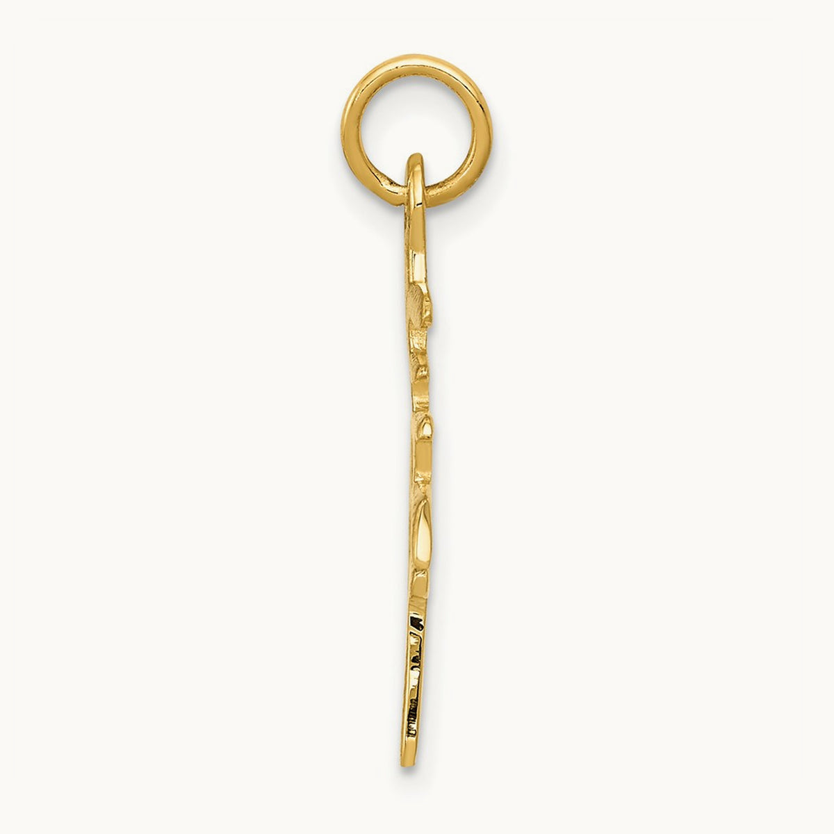 Solid Polished Chinese Long Life Charm — photo set