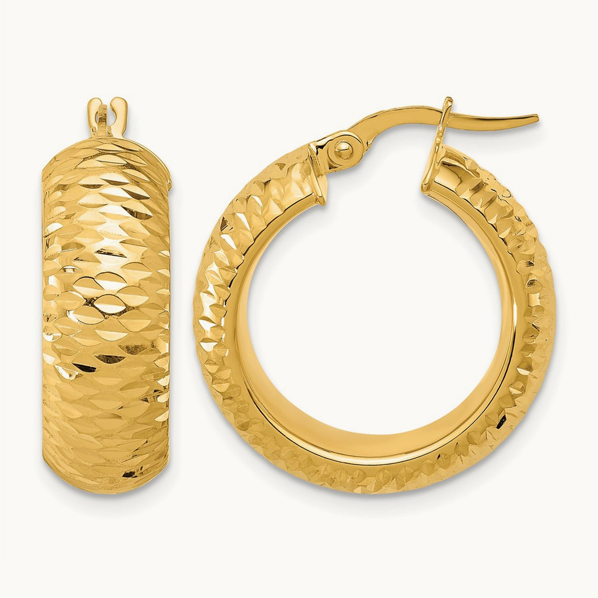 Polished and D/C Half Round Circle Hoop Earrings — Leslie's — photo set