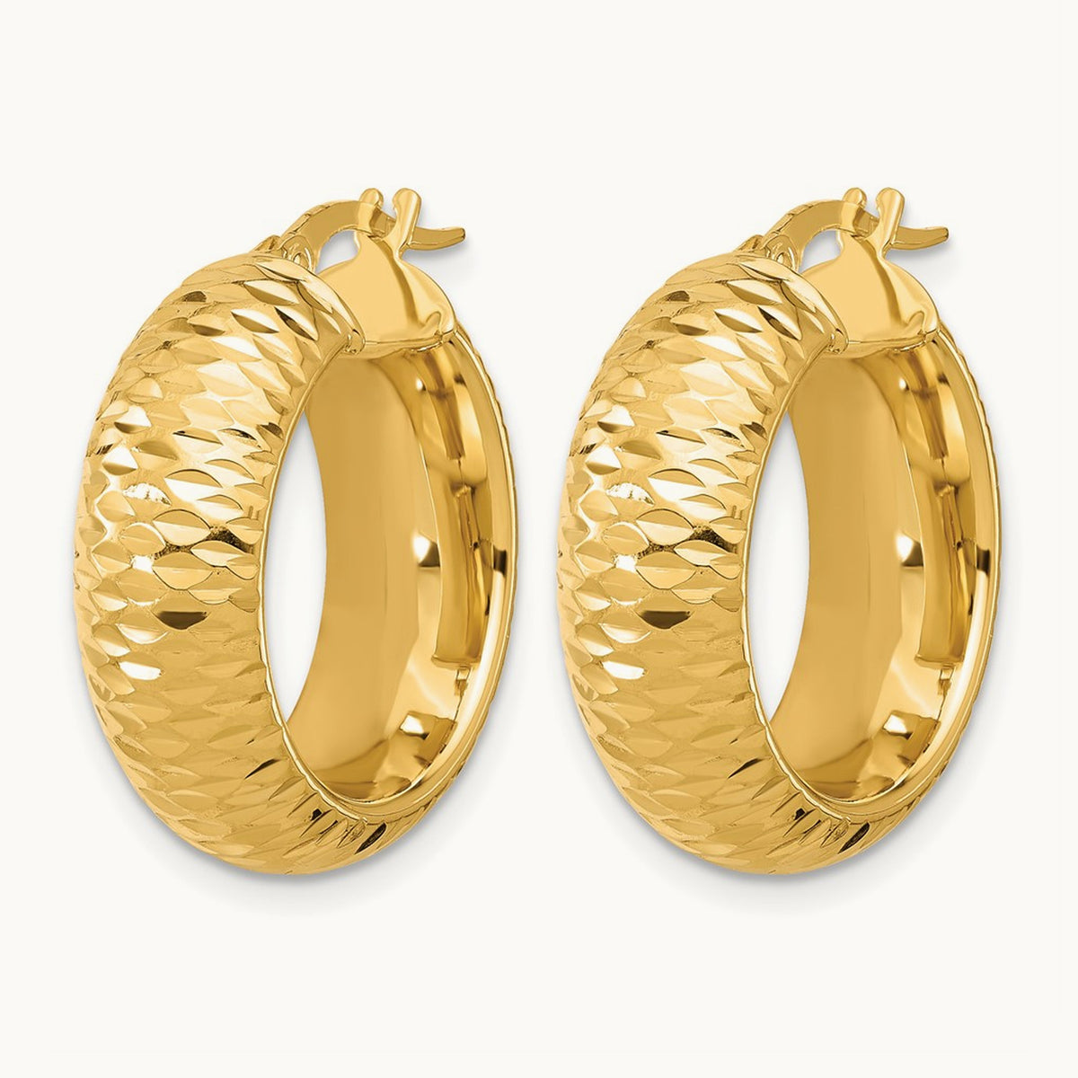 Polished and D/C Half Round Circle Hoop Earrings — Leslie's — photo set