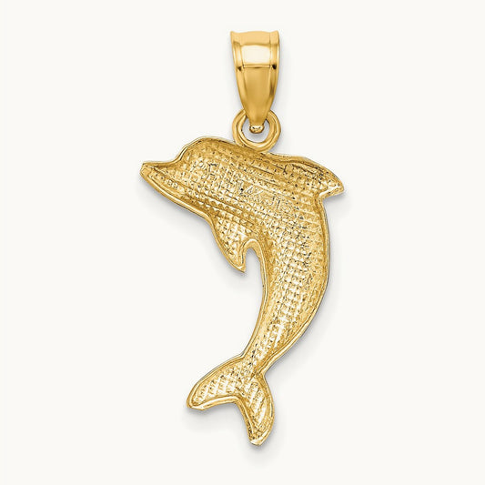 Polished Dolphin Charm — photo set