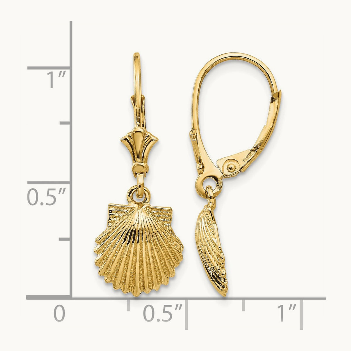 Scallop Shell Leverback Earrings, 14K