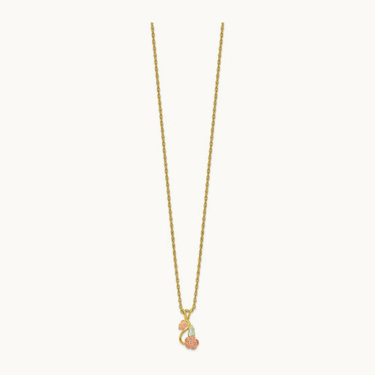 With Gold-filled Chain Black Hills Gold Necklace