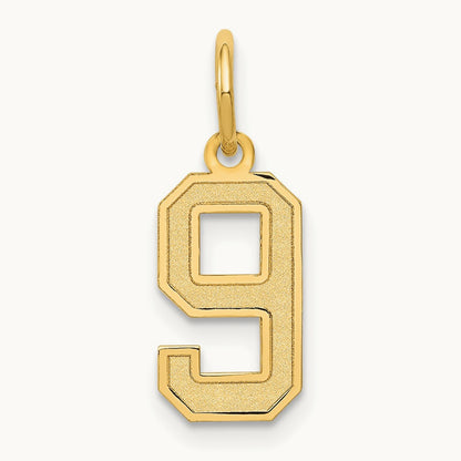 Small Satin Number 9 Charm — 14K Yellow Gold