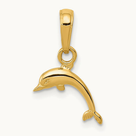 Mini Dolphin Pendant, 14K