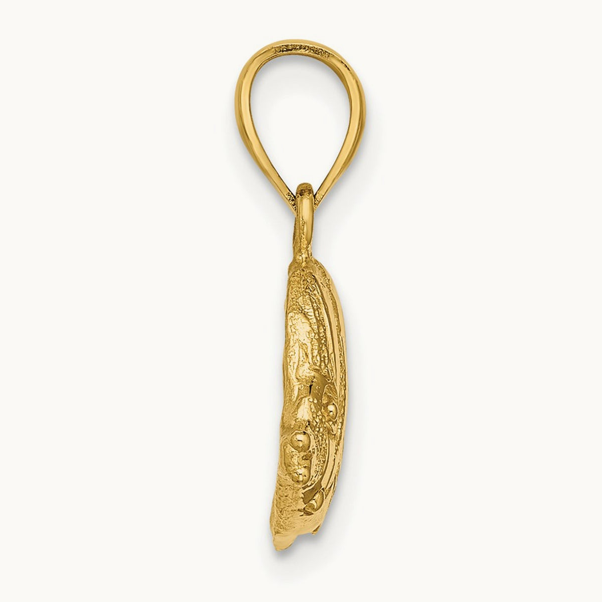 2-D Polished Engraved Fish Charm — photo set