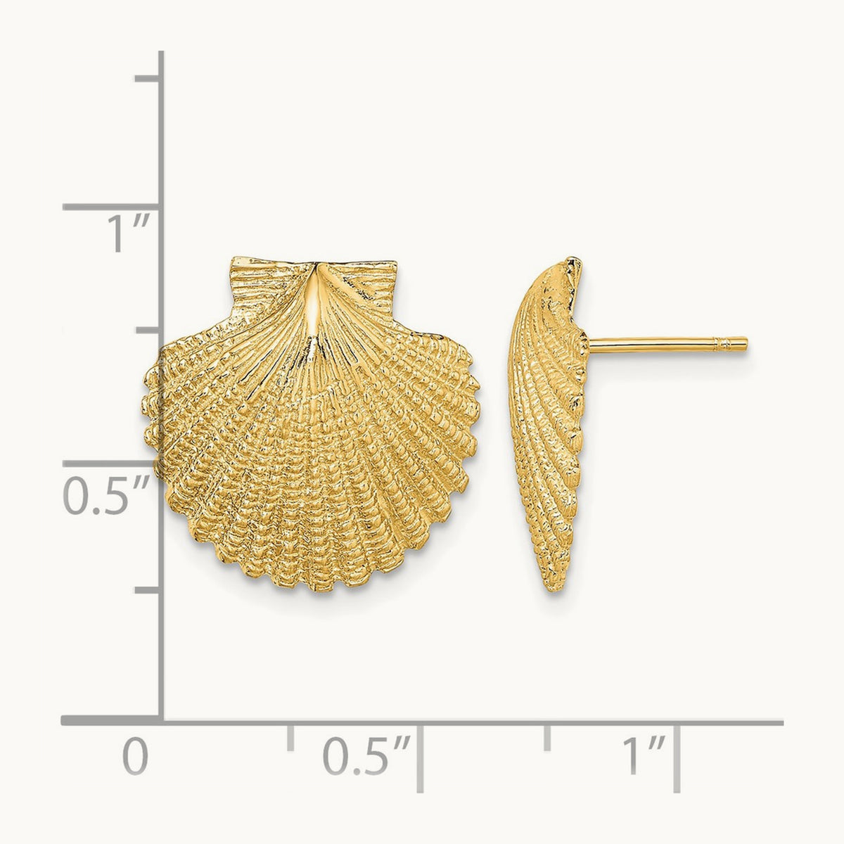 2-D Textured Scallop Shell Post Earrings, 14K