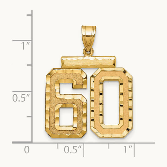 Large Brushed Diamond-cut Number 60 Charm, 14K