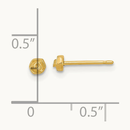 Polished Post Earrings — 14K Yellow Gold