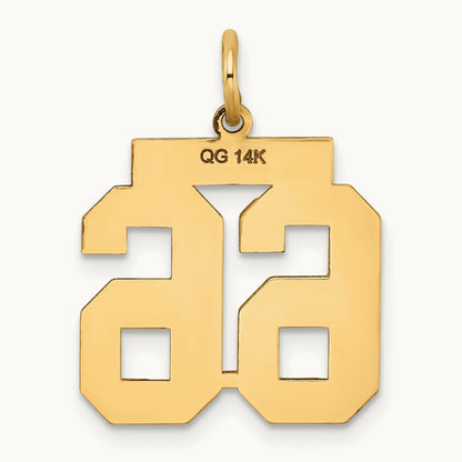 Medium Satin Number 66 Charm, 14K