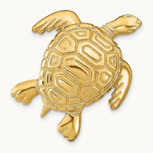 Turtle Slide, 14K