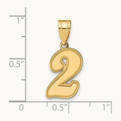 Brushed Border Script Number 2 Pendant, 14K