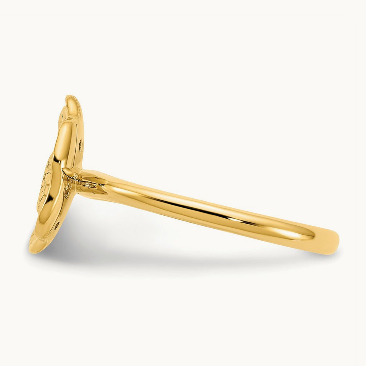 Polished and Textured Diamond Circle Ring, 14K