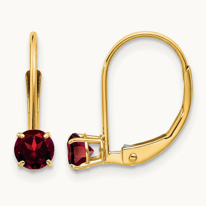 Garnet Earrings - January — photo set