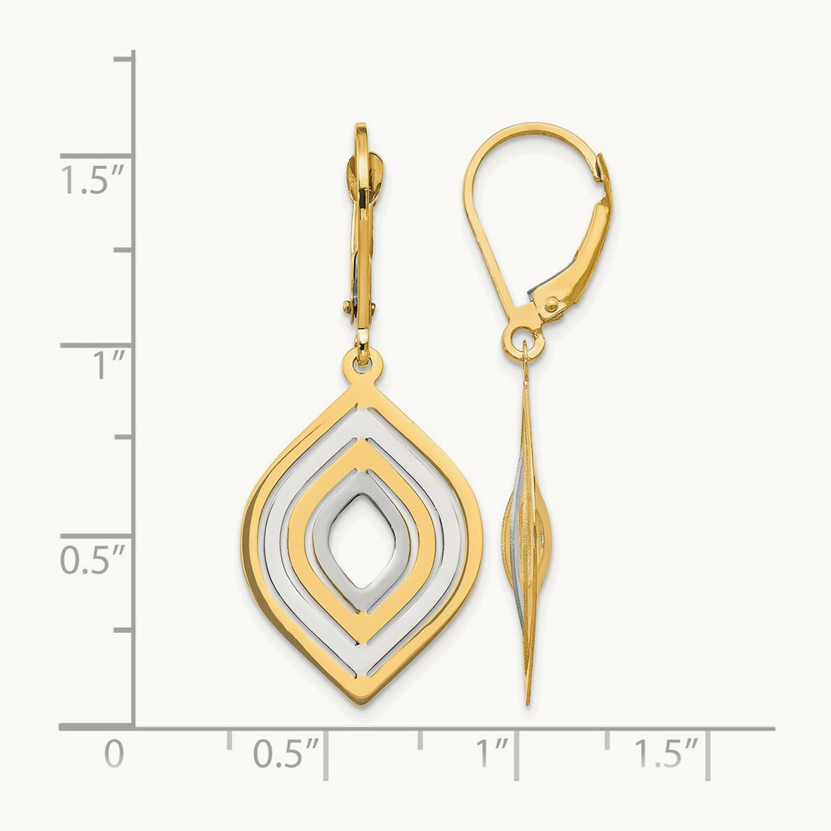 Leslie's with Polished Leverback Earrings — photo set