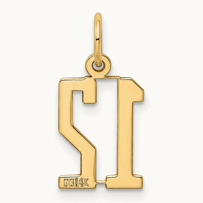 Small Elongated Number 12 Charm, 14K