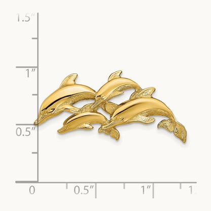 Dolphins Slide, 14K