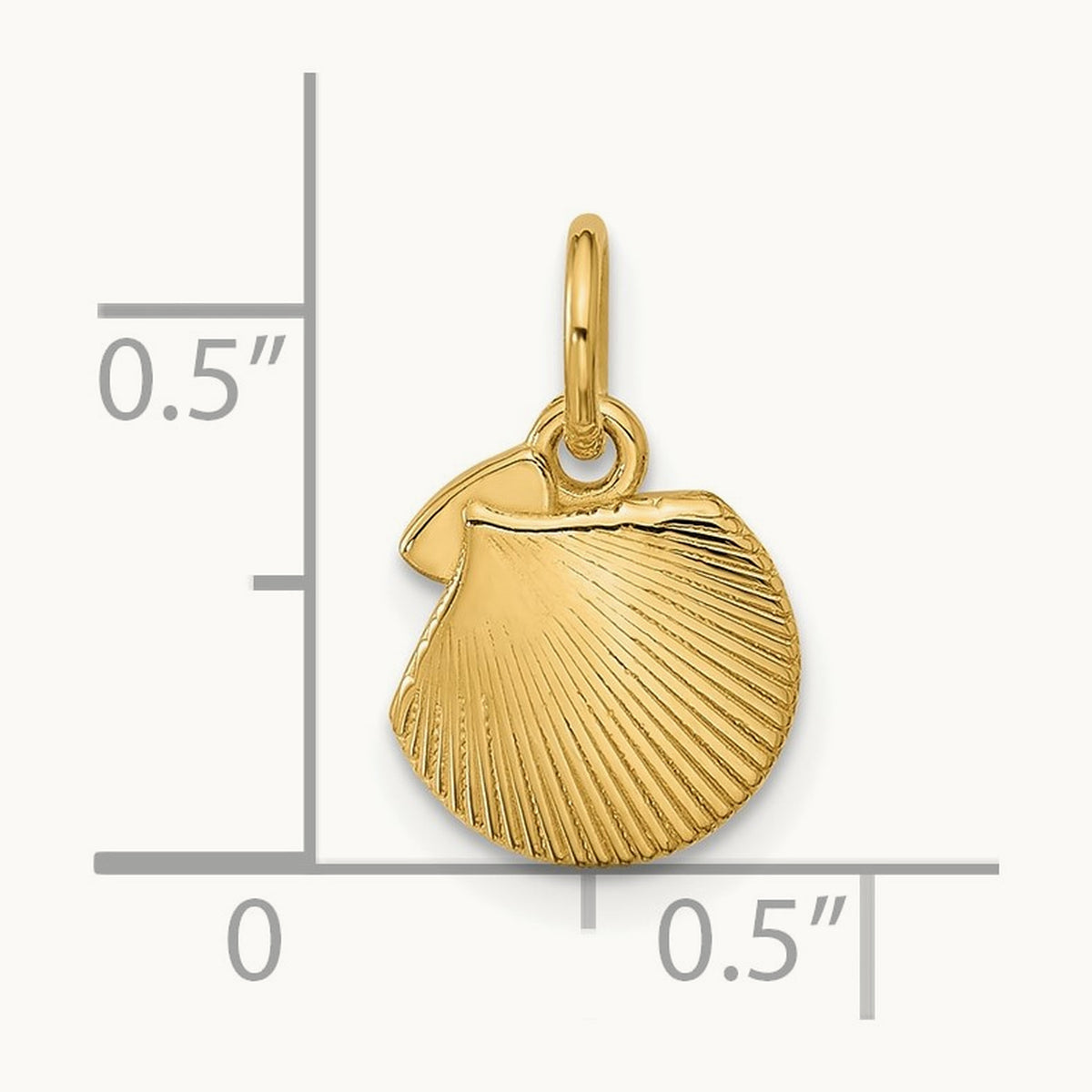 Polished Textured Seashell Pendant, 14K