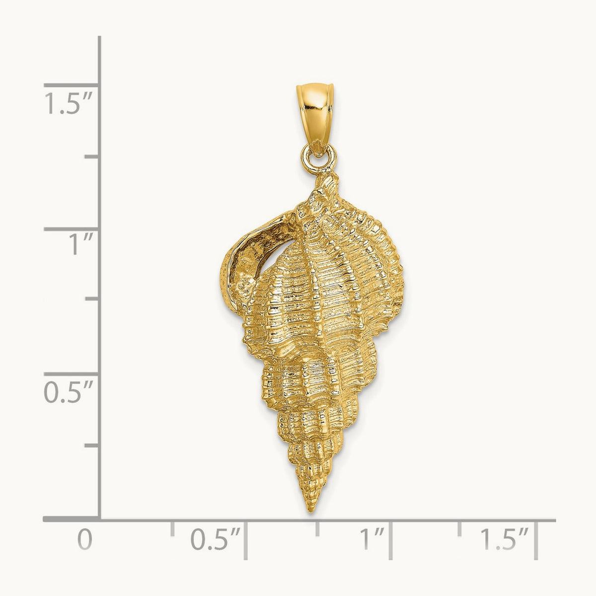 Wentletrap Shell Charm — photo set