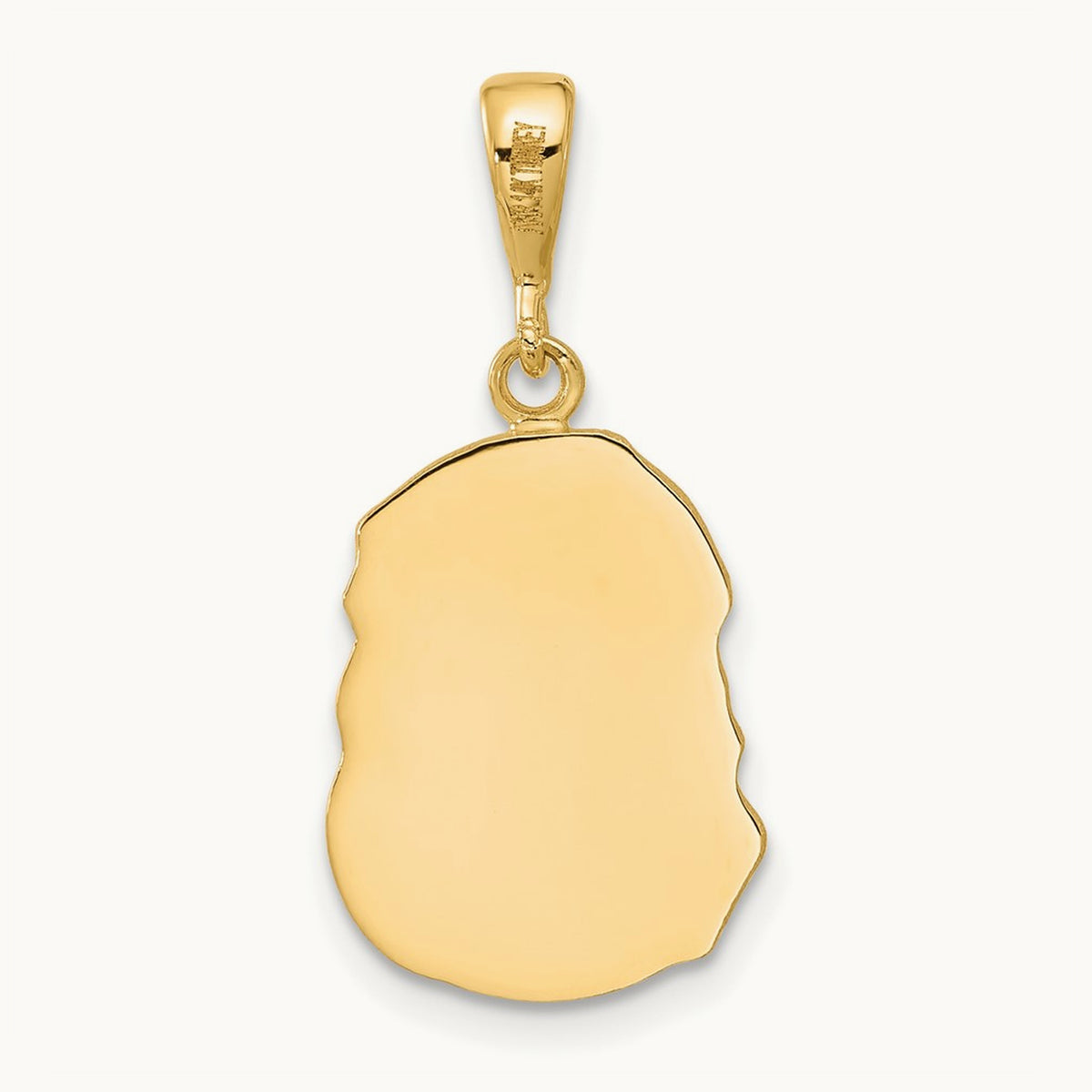 Satin and Diamond-cut Jesus Medal Pendant, 14K