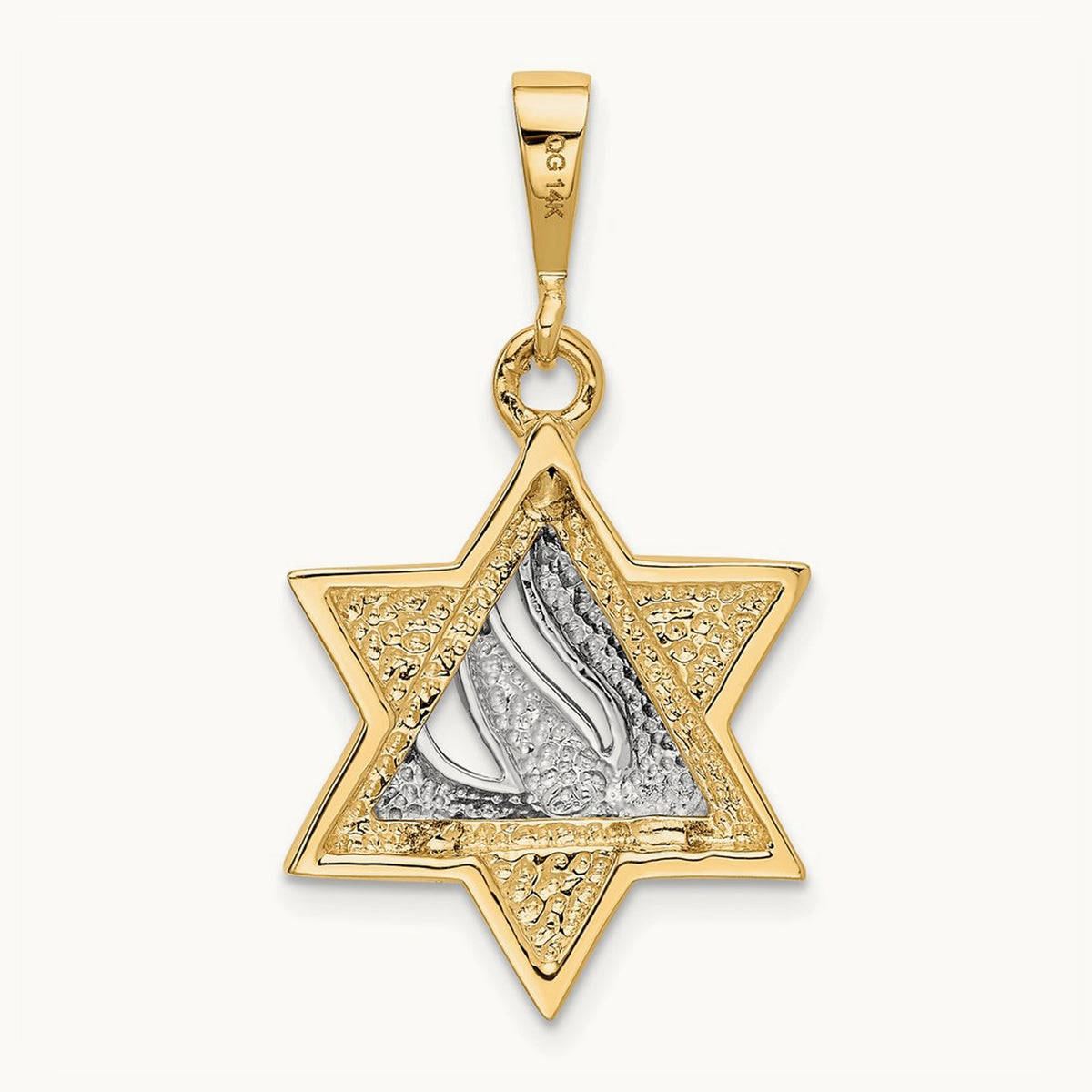 Star of David Pendant, 14K Two-tone