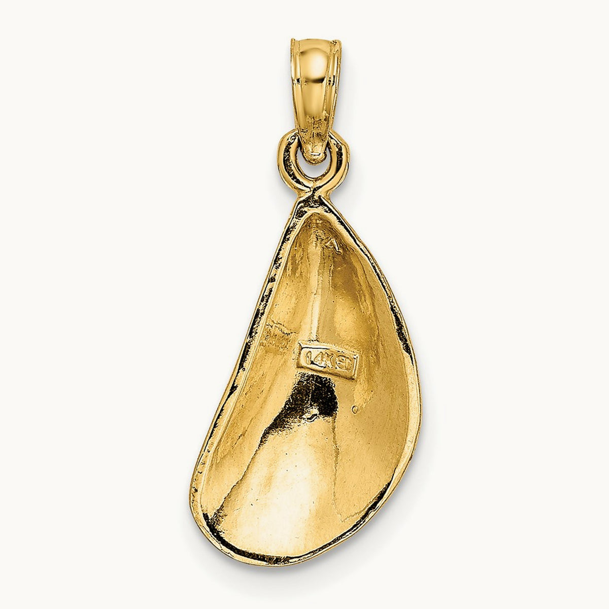 Polished Mussel Shell Charm, 14K