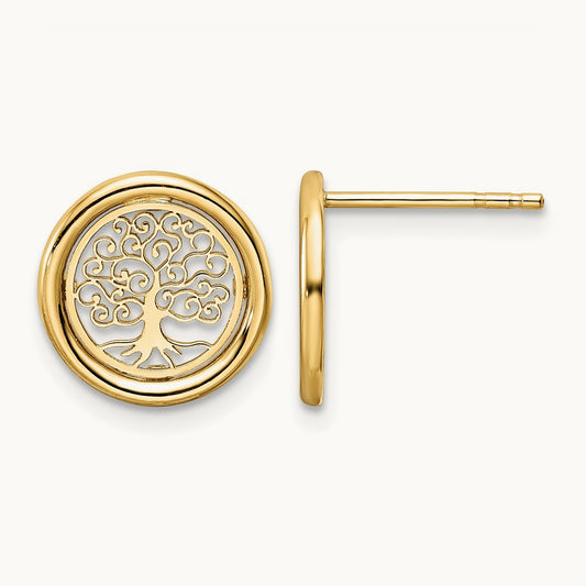 Polished Tree of Life in Circle Post Earrings, 14K