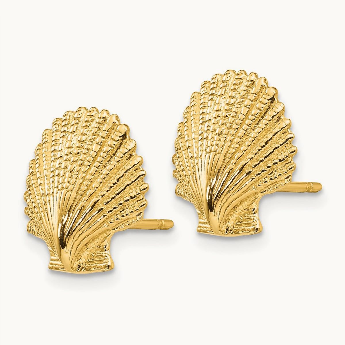Scallop Shell Post Earrings, 14K