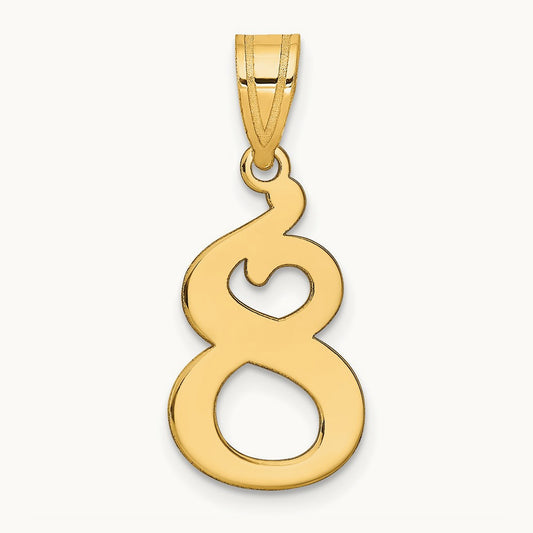 Polished Number 8 Pendant — photo set