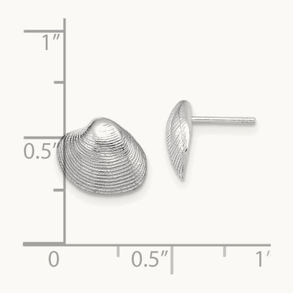 Clam Shell Post Earrings — 14K White Gold, 9mm