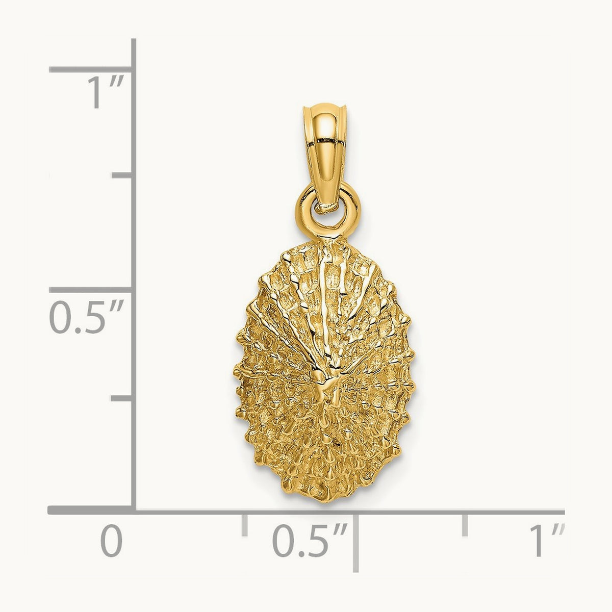 Textured Limpet Shell Charm, 14K
