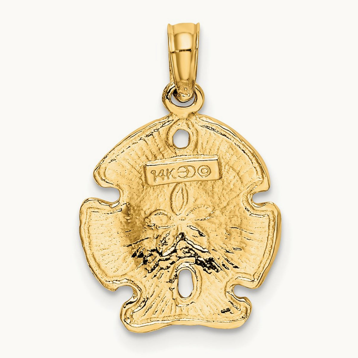 Polished Sand Dollar Charm — photo set