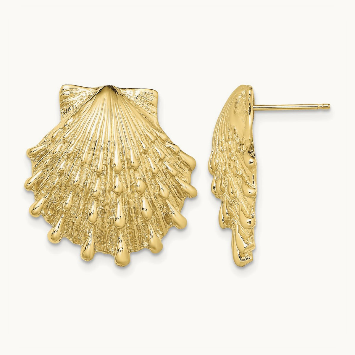 Lion's Paw Shell Post Earrings — 22.3mm