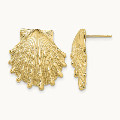 Lion's Paw Shell Post Earrings — 22.3mm