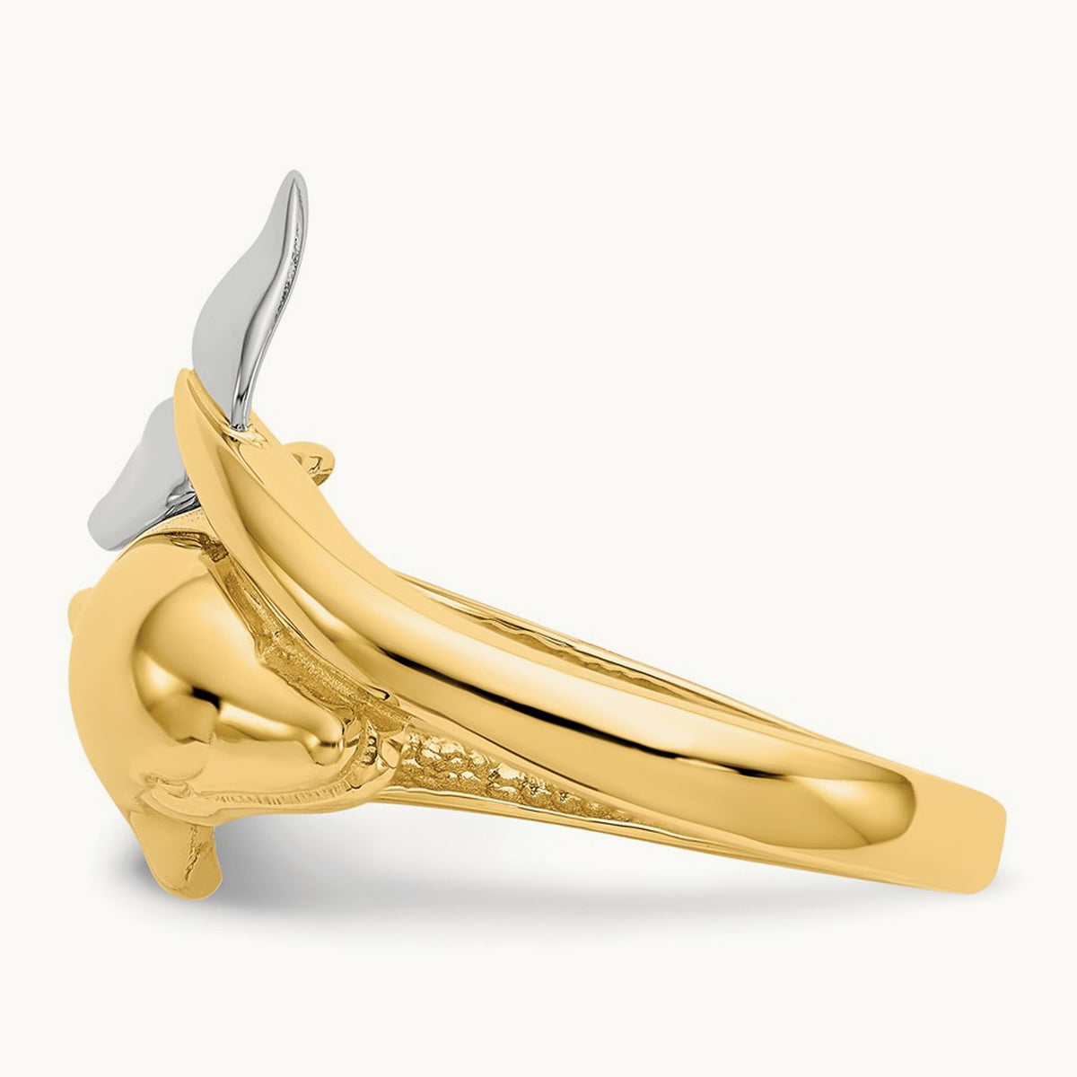 Polished Dolphin Ring — photo set
