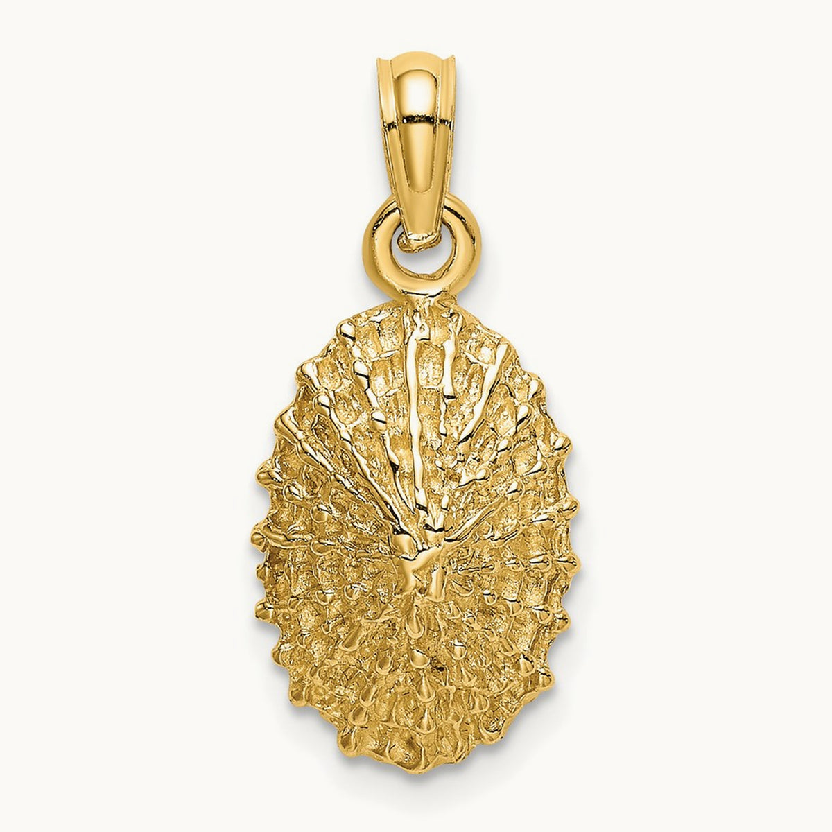 Textured Limpet Shell Charm, 14K