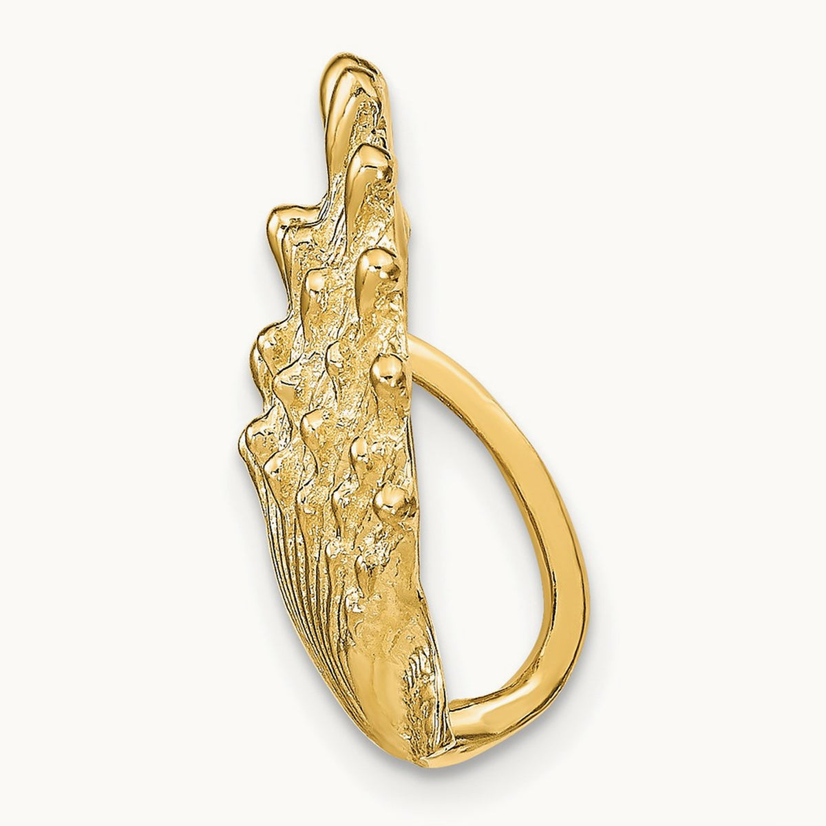 Lion's Paw Shell Slide, 14K