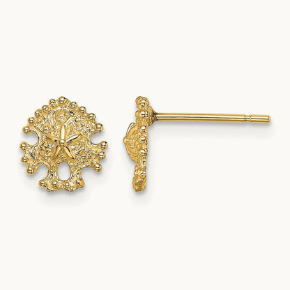 Mini Sand Dollar Post Earrings, 14K