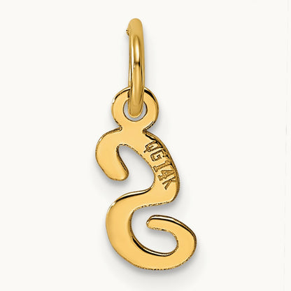 Small Script Letter S Initial Charm, 14K