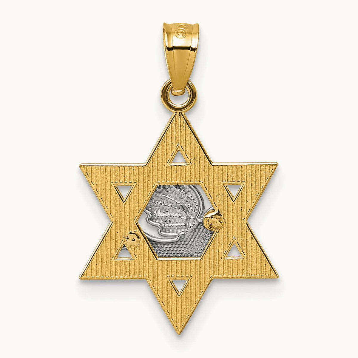 Textured/Diamond-cut Dove On Star Of David Pendant, 14K Two-tone