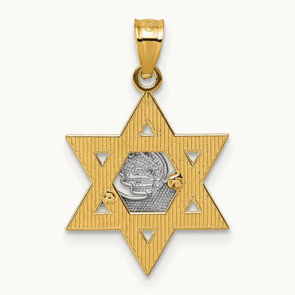 Textured/Diamond-cut Dove On Star Of David Pendant, 14K Two-tone