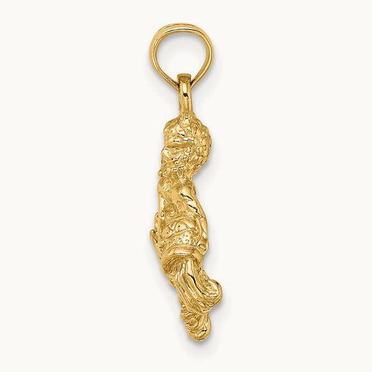 3-D Aquarius Zodiac Charm, 14K