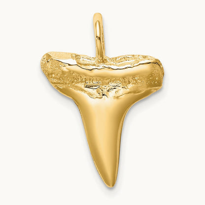 Shark Tooth Pendant, 14K