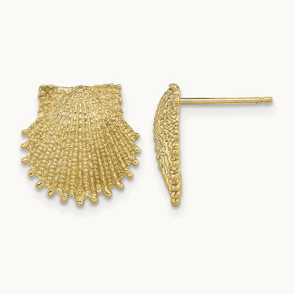 Beaded Scallop Shell Post Earrings, 14K