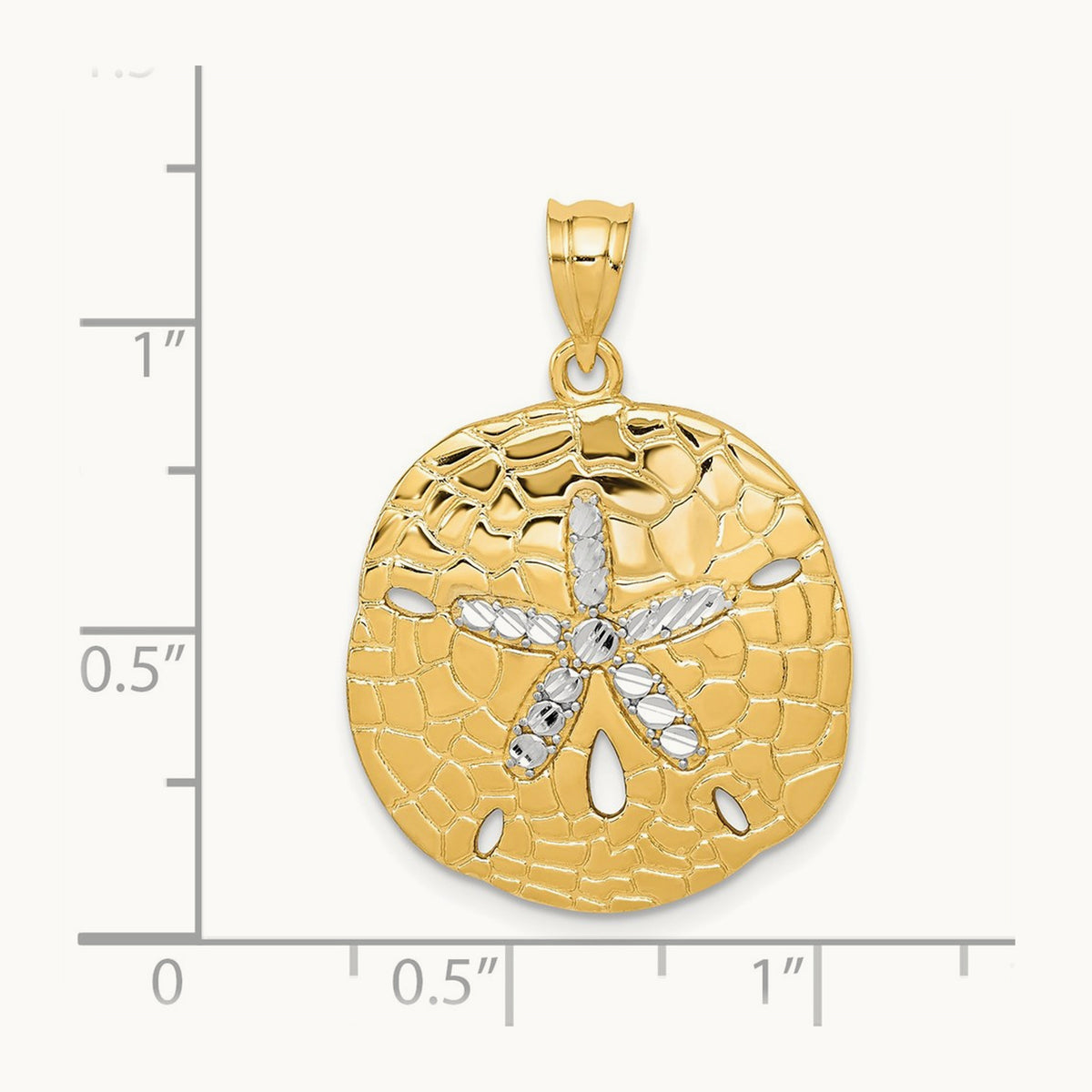 Polished Diamond-Cut Sand Dollar Pendant with White Rhodium — 30mm