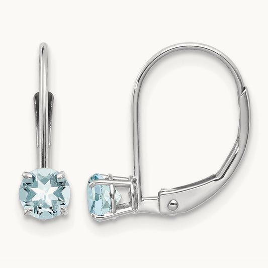 Aquamarine/March Earrings — photo set