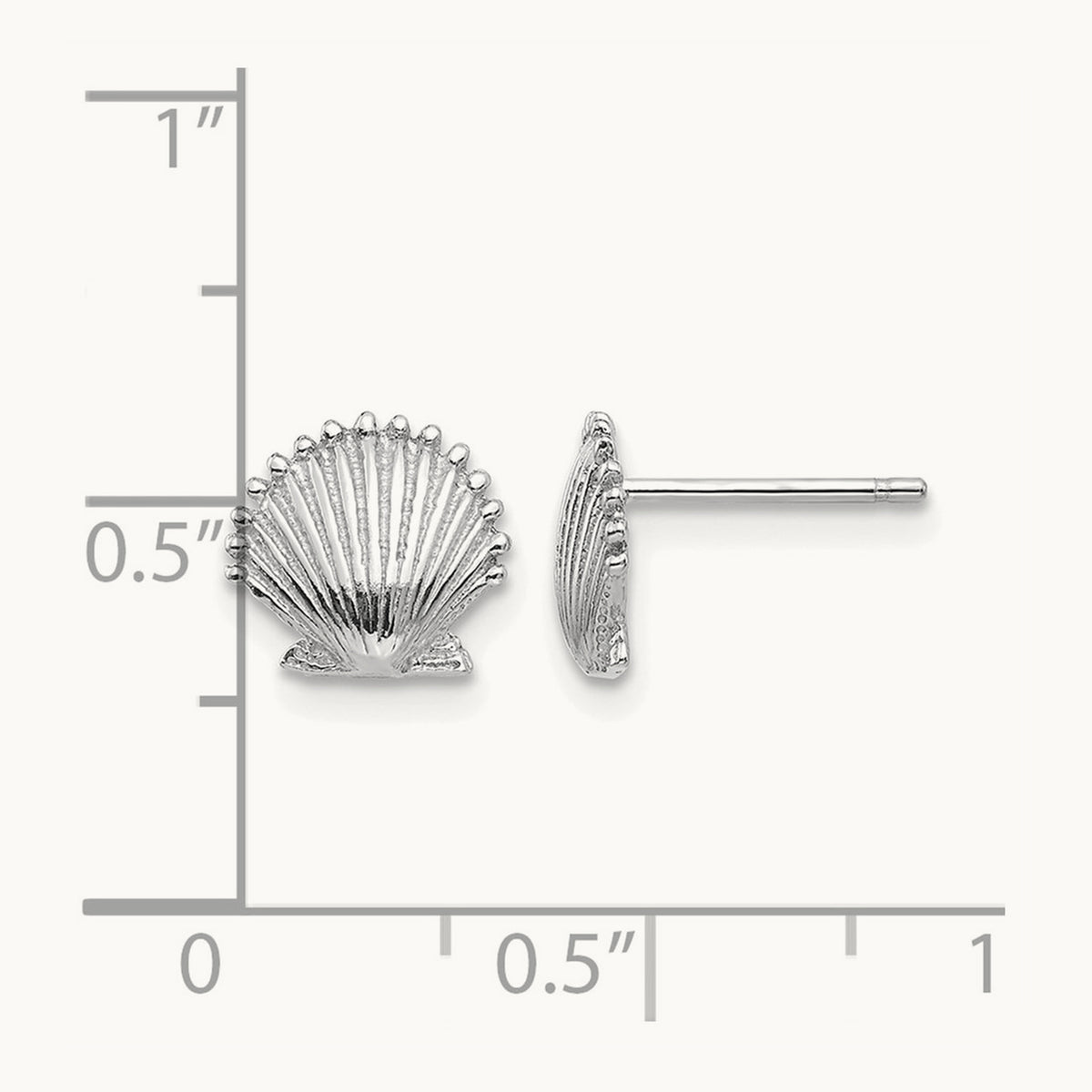 Scallop Shell Post Earrings — 14K White Gold, 8.02mm
