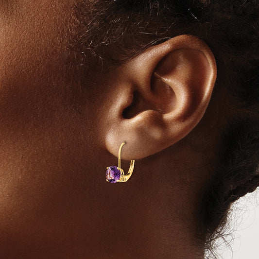 Amethyst Leverback Earrings — 14K Yellow Gold, 18mm
