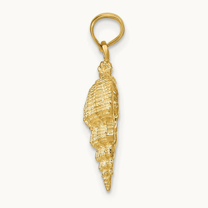 Conch Shell Pendant — photo set