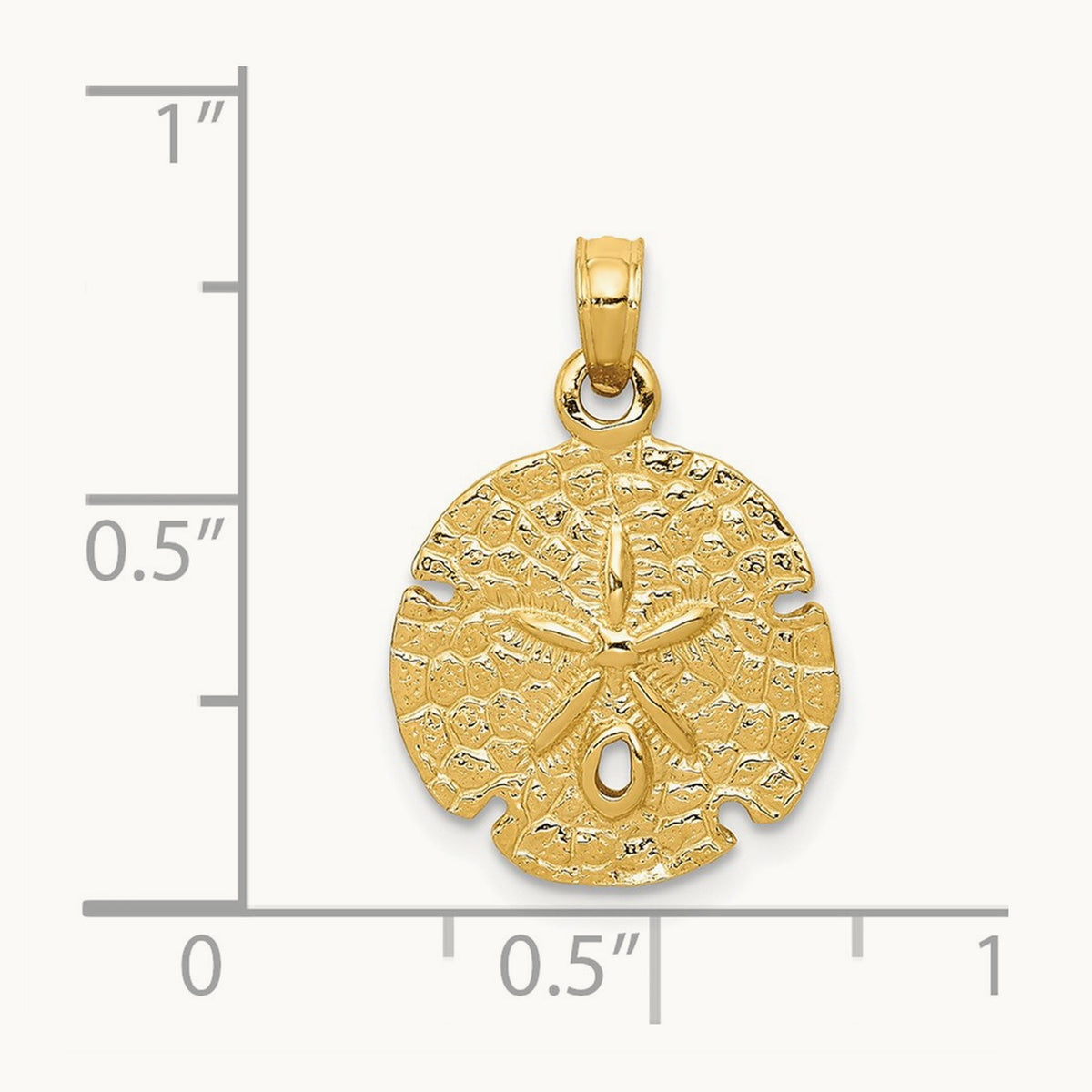 Sand Dollar Pendant, 14K